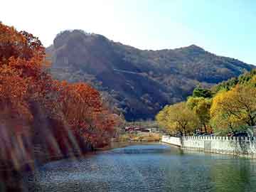 新澳天天开奖资料大全旅游团，前挡风玻璃贴膜